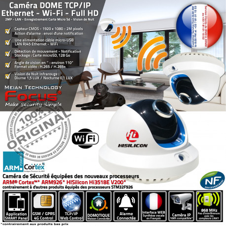 Caméra Surveillance HA-8501 Nuit Réseau Meian FOCUS Vidéo DOME Smartphone Application Panoramique Vision IP Wi-Fi Alerte Infrarouge LAN