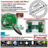 FOCUS Meian Système Sécurité MD ORIGINAL 343 Bris GSM Local Connectée Alarme R de Ethernet Restaurant Relais Centrale vitre 433MHz Détection IP Commercial